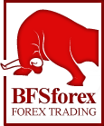 Top Forex Brokers-BFSforex